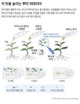 [사이언스샷] 좋은 차(茶)는 뿌리부터 다르다, 질소 흡수 미생물이 풍미 좌우