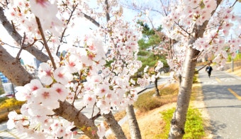 따뜻한 봄 날씨, 전국 대부분 낮 기온 25도 안팎