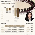호텔신라 로레알 손잡고 만든 화장품社 로시안, 지속된 적자에 거듭 증자