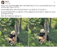 中 방문한 홍준표 판다가 사람 팔자보다 더 낫다