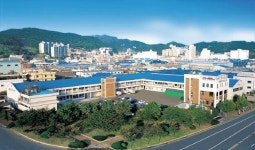 [특징주] 제일전기공업, 주당 1주 무상증자 소식에 상한가