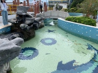 [르포] 검은 폐수를 금붕어도 사는 맑은 물로… 中 최대 석화공장의 마법