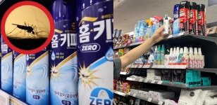 [르포] 예년보다 빨라진 ‘벌레와의 전쟁’… 방충용품 매출 150% 증가