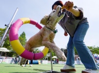 [애니멀리포트] 내가 울면 개는 위로하고 돼지는 무시…목소리서 감정 포착 달라