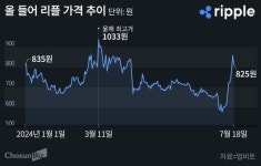한때 ‘3대 코인’ 리플, 33% 급등… SEC와 소송 종료 기대감