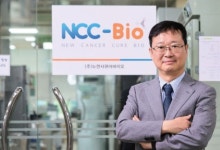 뉴캔서큐어바이오 혁신항암제, 2025년 췌장암 임상 2상 실시 예정