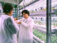 실내 수직농장, 전국 산업단지 입주한다… “‘고부가가치 산업’ 도약 기대”