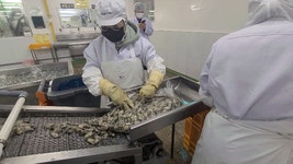 [지역 살리는 유통]⑩ 통영 알리고 양질의 굴 배송… 협력사와 공생하는 컬리