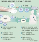 삼성서울병원, 암세포 킬러 ‘카티세포 치료’ 200례 돌파