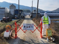 담양 오리농장서 조류인플루엔자 항원 검출… 살처분·이동중지명령