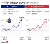 펀드 매니저가 개미 포트폴리오 베낀다고?... 쏠림 키우는 ‘서학개미 ETF’