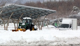 폭설에 여객선·항공기 결항 잇따라… 전국 곳곳 피해 속출