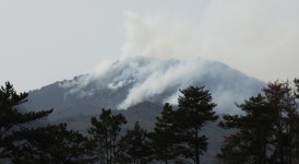 의성 산불 강풍에 안동으로 확대… 서산영덕고속도로 휴게소 불에 타