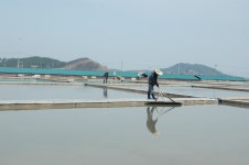 美, ‘강제 노동’ 이유로 韓 최대 염전 소금 수입 금지