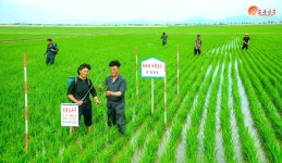 “중국, 올해만 북한 노동자 수천명 수용”… 대북 제재 위반 논란