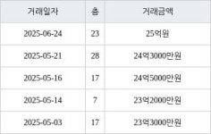서울 잠실동 잠실레이크팰리스 59㎡ 25억원에 거래