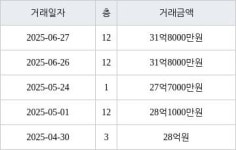 서울 여의도동 여의도대교 95㎡ 31억8000만원에 거래