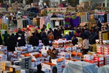 출렁이는 농산물값 잡는다… 온라인 도매시장 2030년 50%로 확대