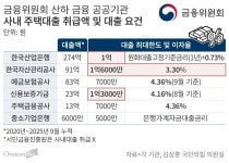 금융 공공기관, ‘DSR 사각지대’ 사내 주택대출 5년간 500억 취급
