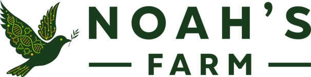 노아스팜, 프리-시드로 40억원 투자 유치