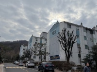 [르포] “눈 깜빡하면 1억씩 뛰어요”… 재건축·교통 호재에 수서는 ‘들썩’