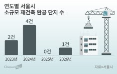 소규모 재건축 줄줄이 무산… 지난해 서울 내 준공 물량 ‘0건’
