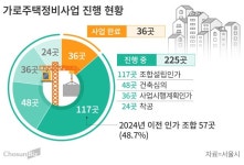 “지어줄 건설사가 없다”… ‘빠른 정비’ 가로주택사업 곳곳 표류