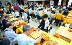 '판타지아 부천'에서 바둑축제 한마당 