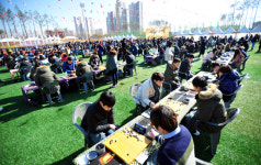 대통령 축하영상으로 개막한 대한민국 바둑대축제 