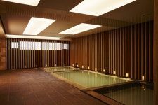 디아넥스호텔, 국내 유일 아라고나이트 심층고 온천스파 자랑