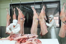 건강한 고기가 맛있다 눈꽃참한우포크, HACCP 인증으로 믿을 수 있는 먹거리 제공