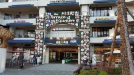 울산 ‘더 테라스가든’, 봄 감성 가득한 데이트코스로 주목