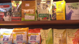 “우리 개린이, 유치원가자”…요즘 반려동물의 일상 알아보개