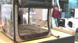 “우리 개린이, 유치원가자”…요즘 반려동물의 일상 알아보개