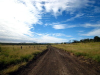 건강한 안심 화장품, ECOLLINE(에콜린) 런칭