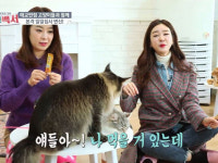 [유행백서] 공서영 “요즘 랜선집사로 투잡해”…방송 뒤로 하고 무아지경 ‘고양이 홀릭’