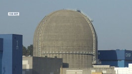 한빛원전 5호기, 불시 가동 중단