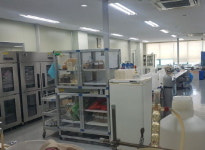 ㈜도성기업, 항노화 R&D 보유 게르마늄 포졸란 광산 기업