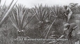 “헤로니모가 15년 간 쌓은 노력, BTS가 단숨에 이뤘다”