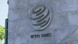 WTO “내년 세계무역 L자형 전망…내림세 유지될 것”