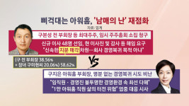 [CEO포커스] 구본준 LX 회장 '반도체' 찐사랑…돈 앞에 갈라진 피 아워홈 오너 일가