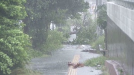 내일까지 전국에 강풍…제14호 태풍 난마돌 발생
