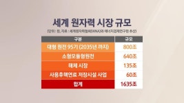 K택소노미에 원전 사업 환호…안전은 찜찜