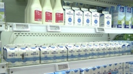 매일우유(주)송천대리점 | 다음 주부터 우유 가격 오른다…남양·매일, 8~9% 인상