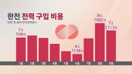 돈줄 트고 매입가 낮춰도 미봉책…전기료 오른다