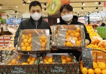 롯데마트, 크리스마스 패키지 감귤 9900원에 판매