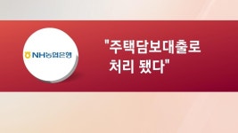 [단독] 상가 이주비 대출이 주택대출로 둔갑…시중은행의 엉뚱한 대출 실행