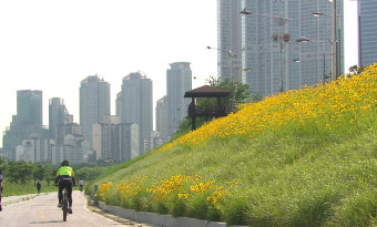 [오늘의 날씨] 어버이날 전국 맑음…아침 최저 4도 출근길 '쌀쌀'