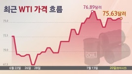 [세종청사] 유류세 인하 종료 앞두고…원복? 유지? 고심