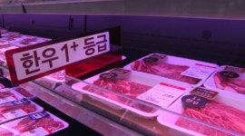 내달 1일 투뿔 한우가 반값?...어디로 가야 하나요?